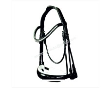 Leather Bridle 